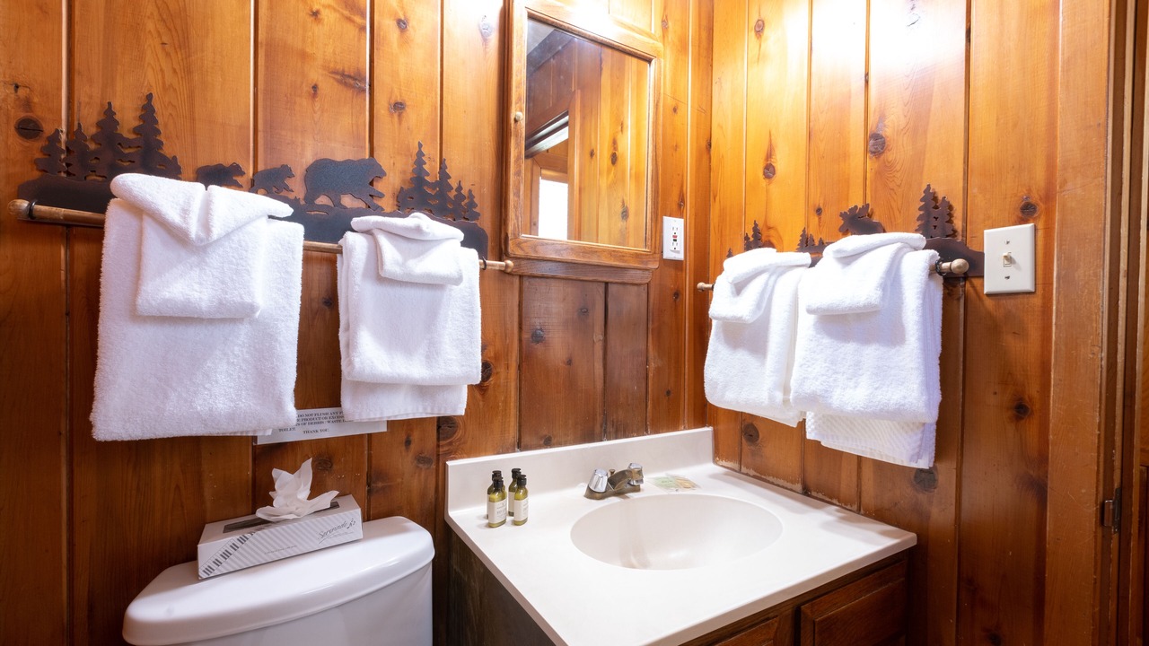 Photo of Bathroom in Tahoe Vista