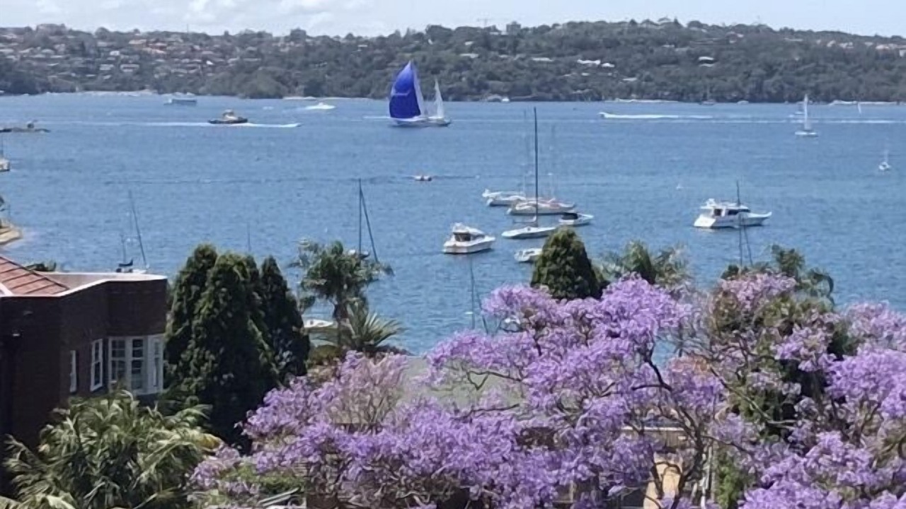 Photo of Others in Elizabeth Bay