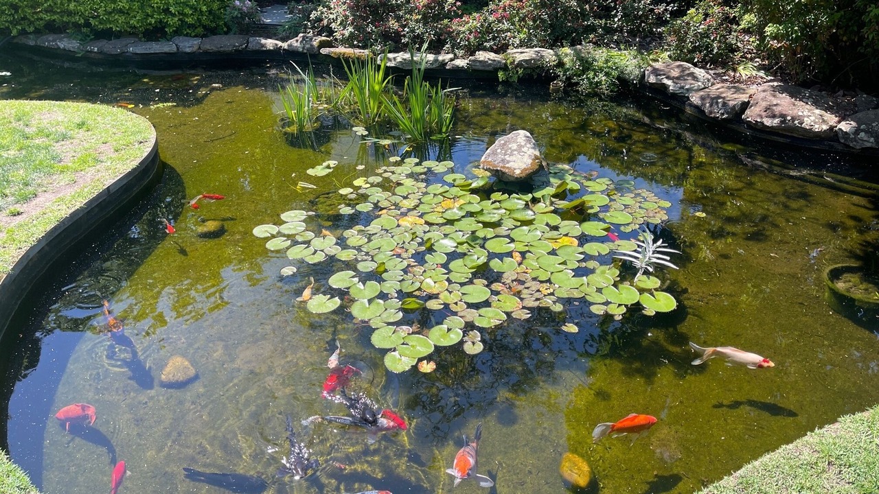 Photo of Outdoor in Elizabeth Bay