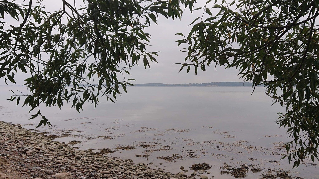 Photo of Others in Aabenraa