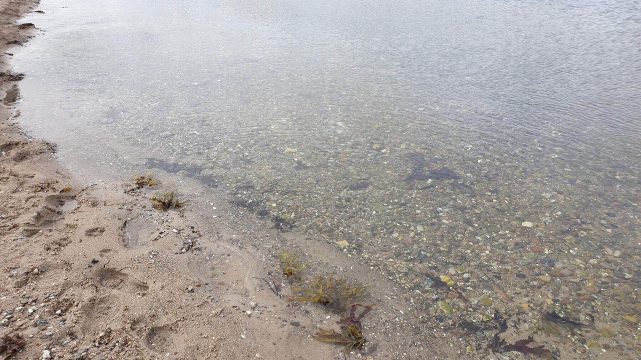 Photo of Others in Aabenraa