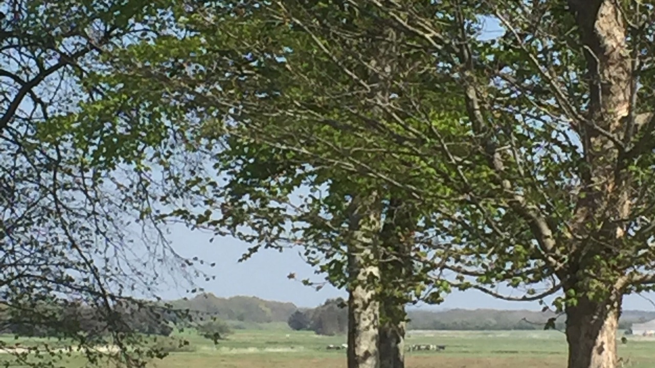 Photo of Others in Mandoe