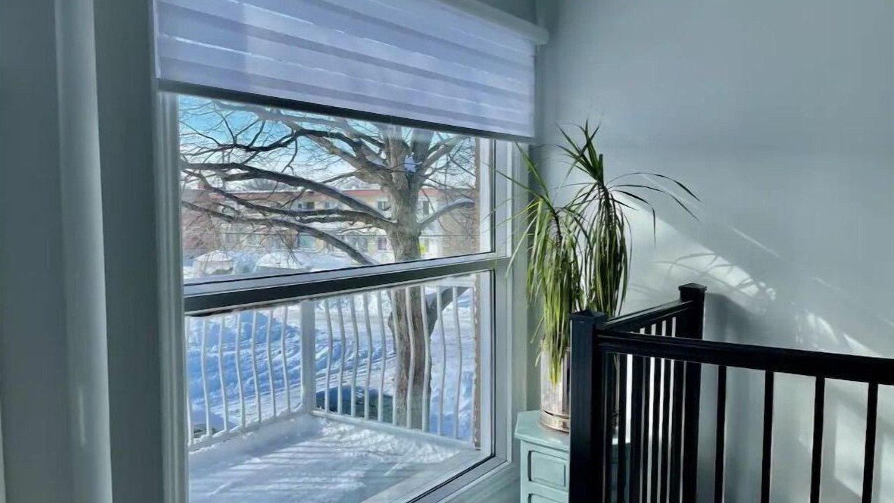 Photo of Others in Cartierville