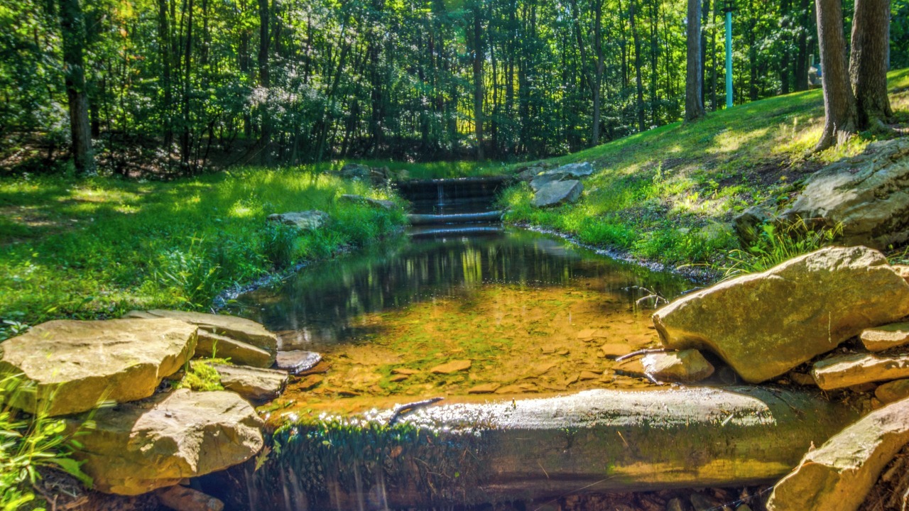 Photo of Others in Blandburg