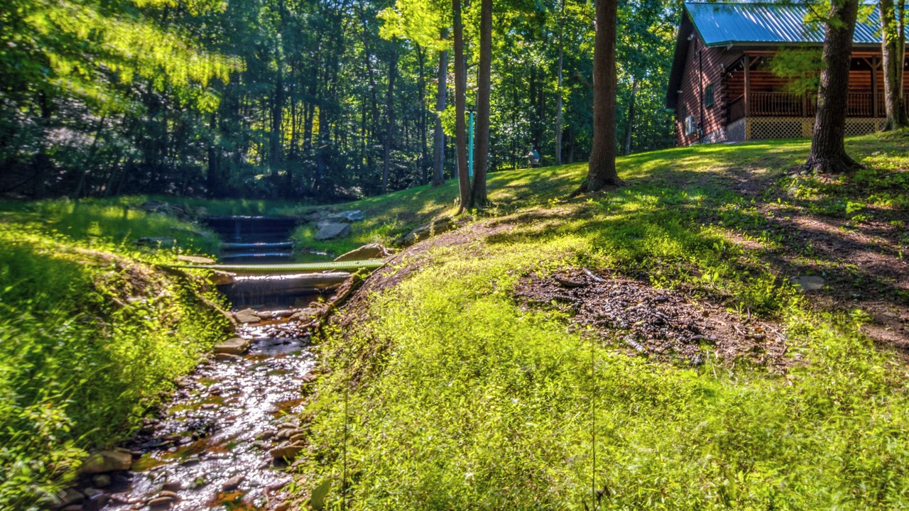 Photo of Others in Blandburg