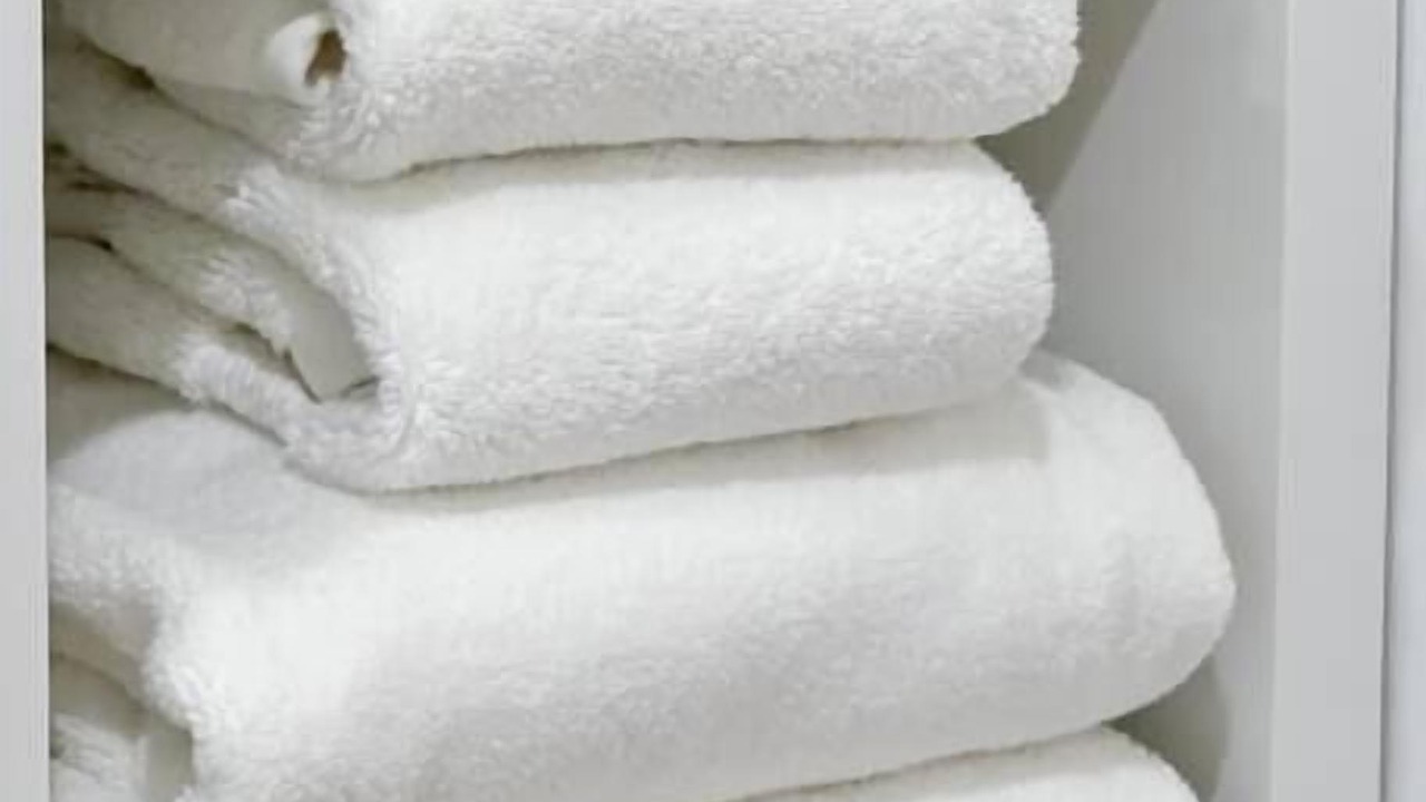 Photo of Others in Grafton