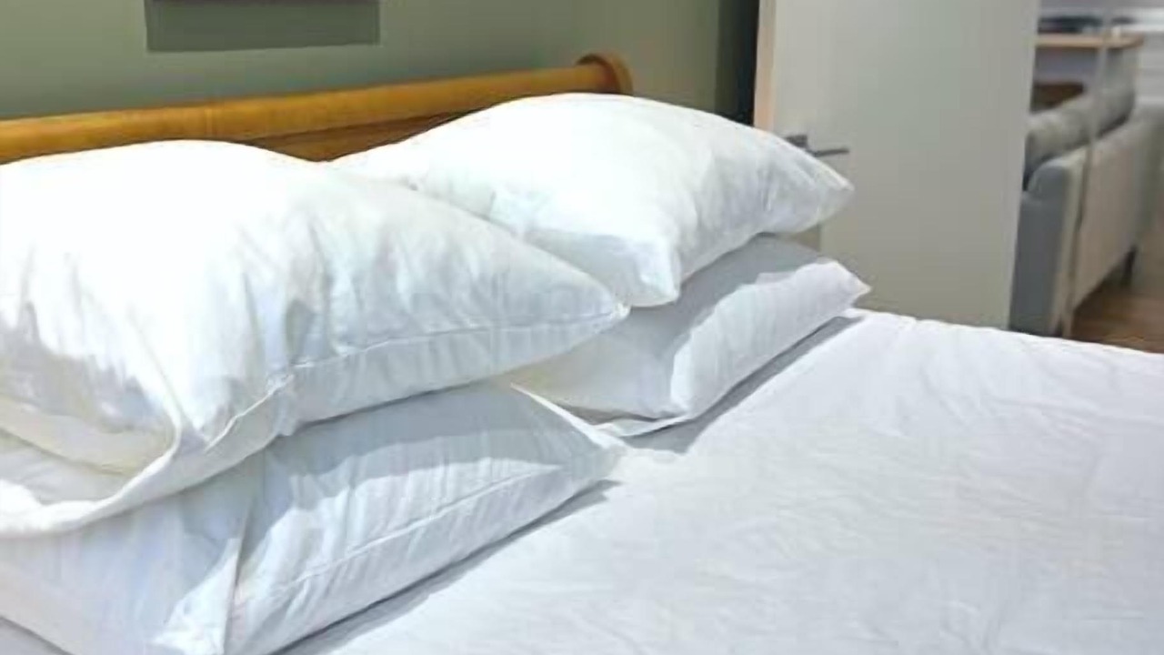 Photo of Others in Grafton