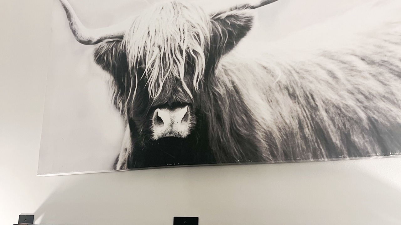 Photo of Others in Vernon