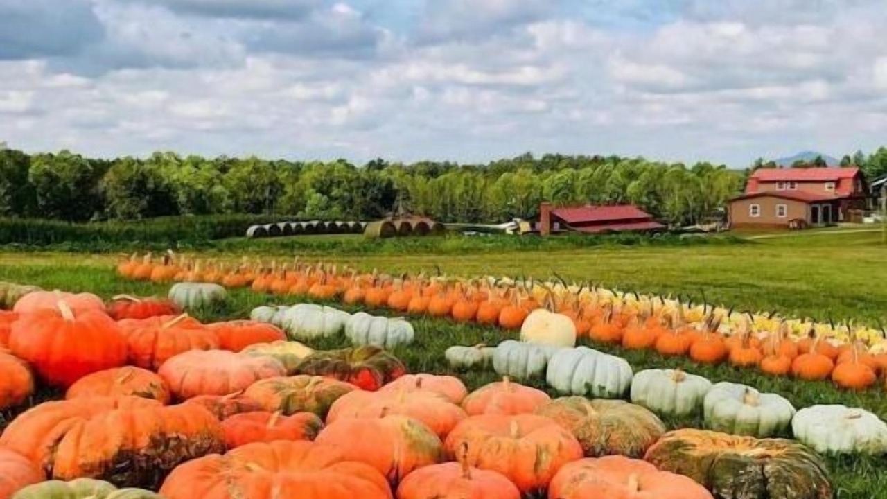 Photo of Outdoor in Vernon