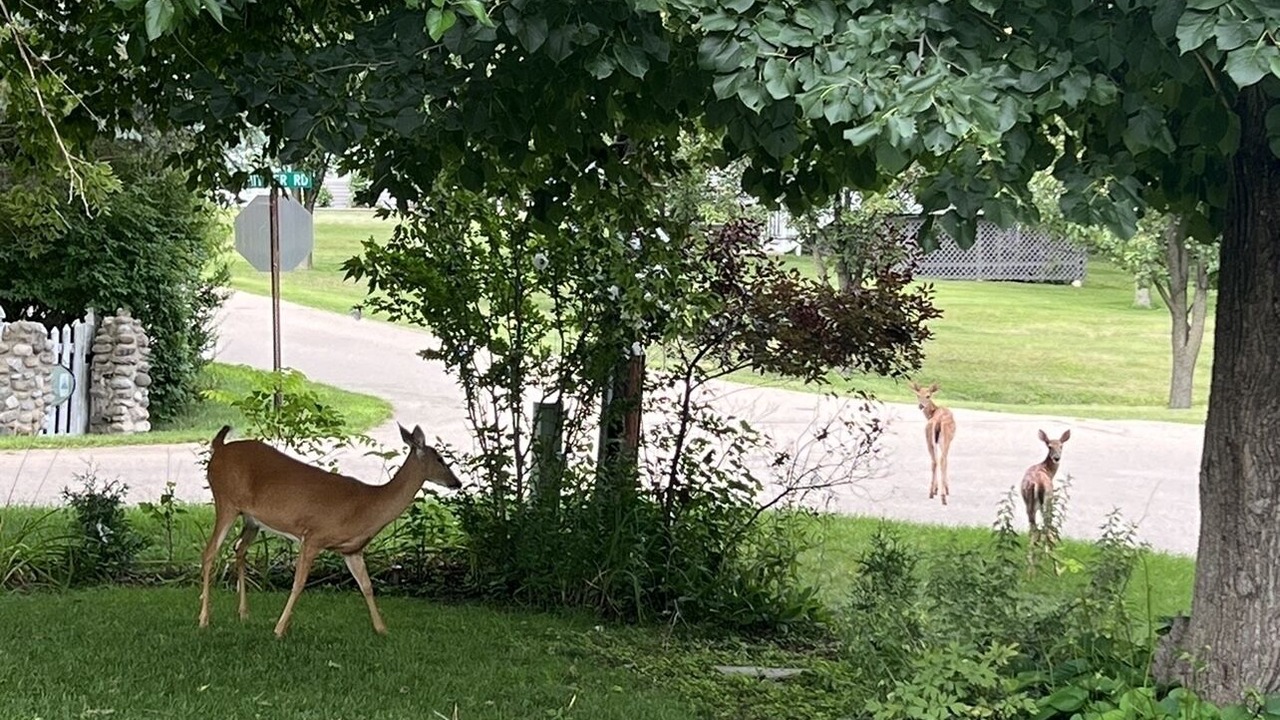 Photo of Outdoor in Como