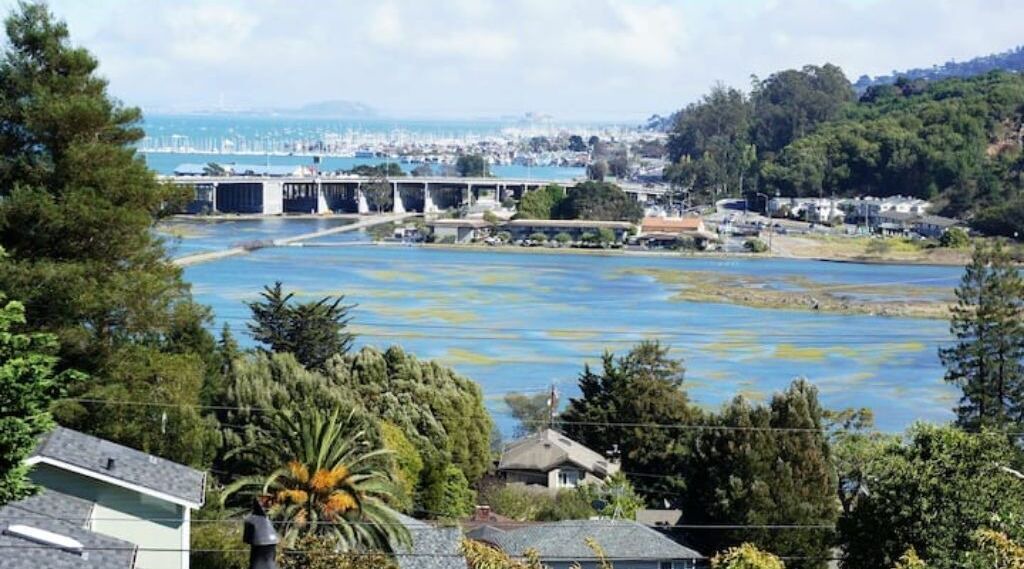 Photo of Others in Almonte