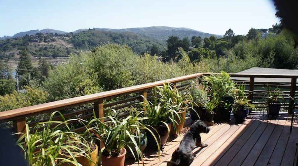 Photo of Outdoor in Almonte