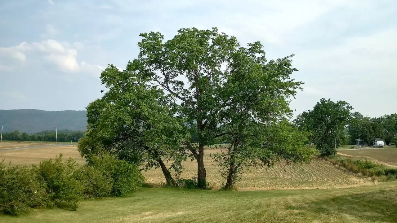 Photo of Others in Centre Hall