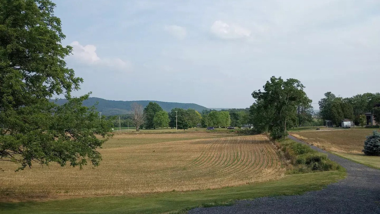Photo of Others in Centre Hall