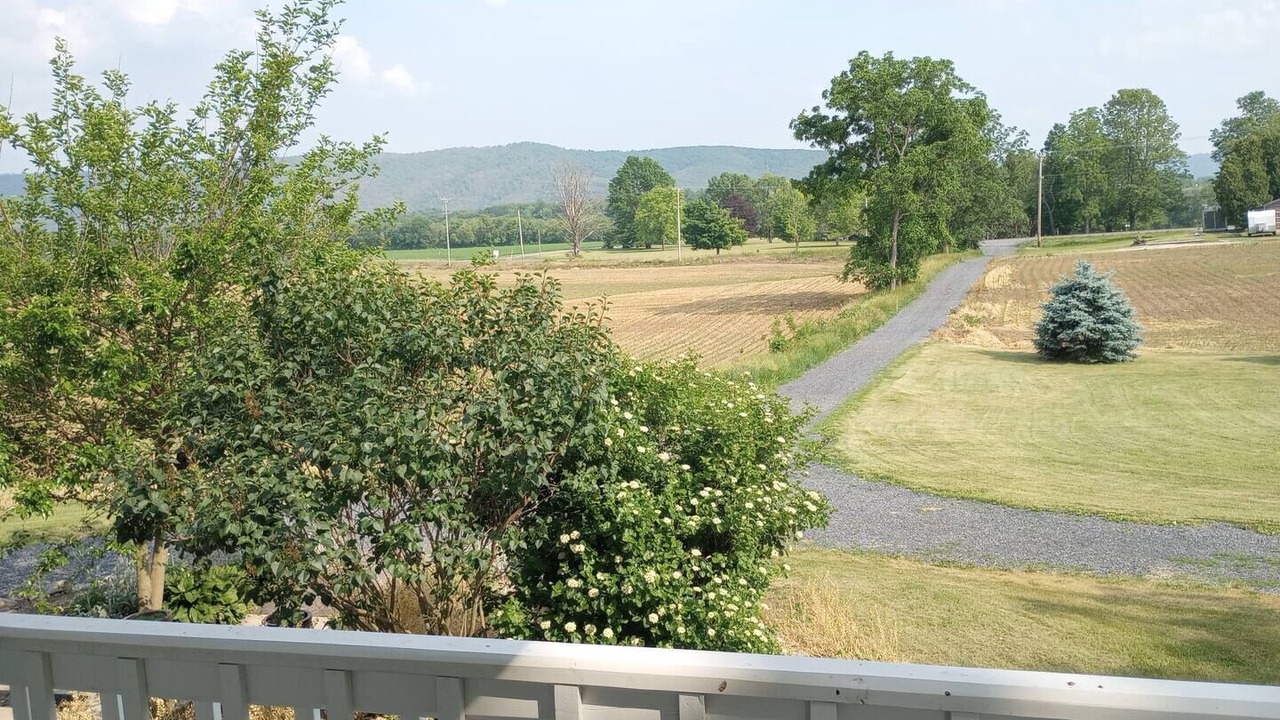 Photo of Outdoor in Centre Hall