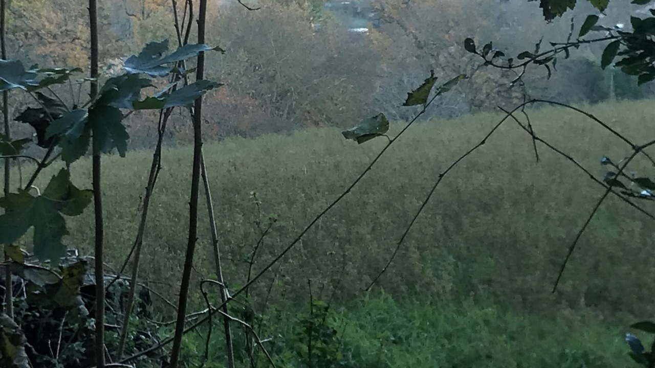 Photo of Outdoor in Fourquevaux