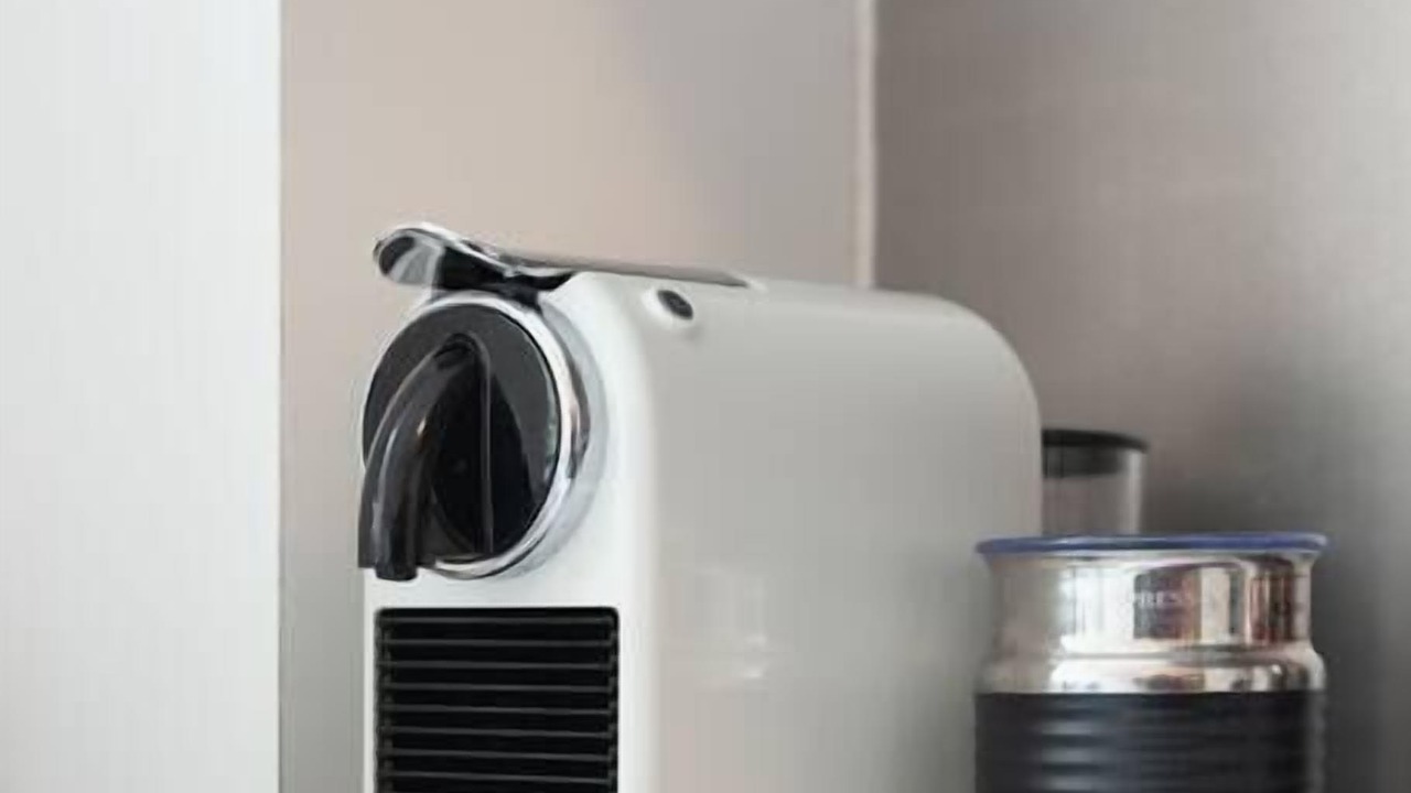 Photo of Others in Elizabeth Bay