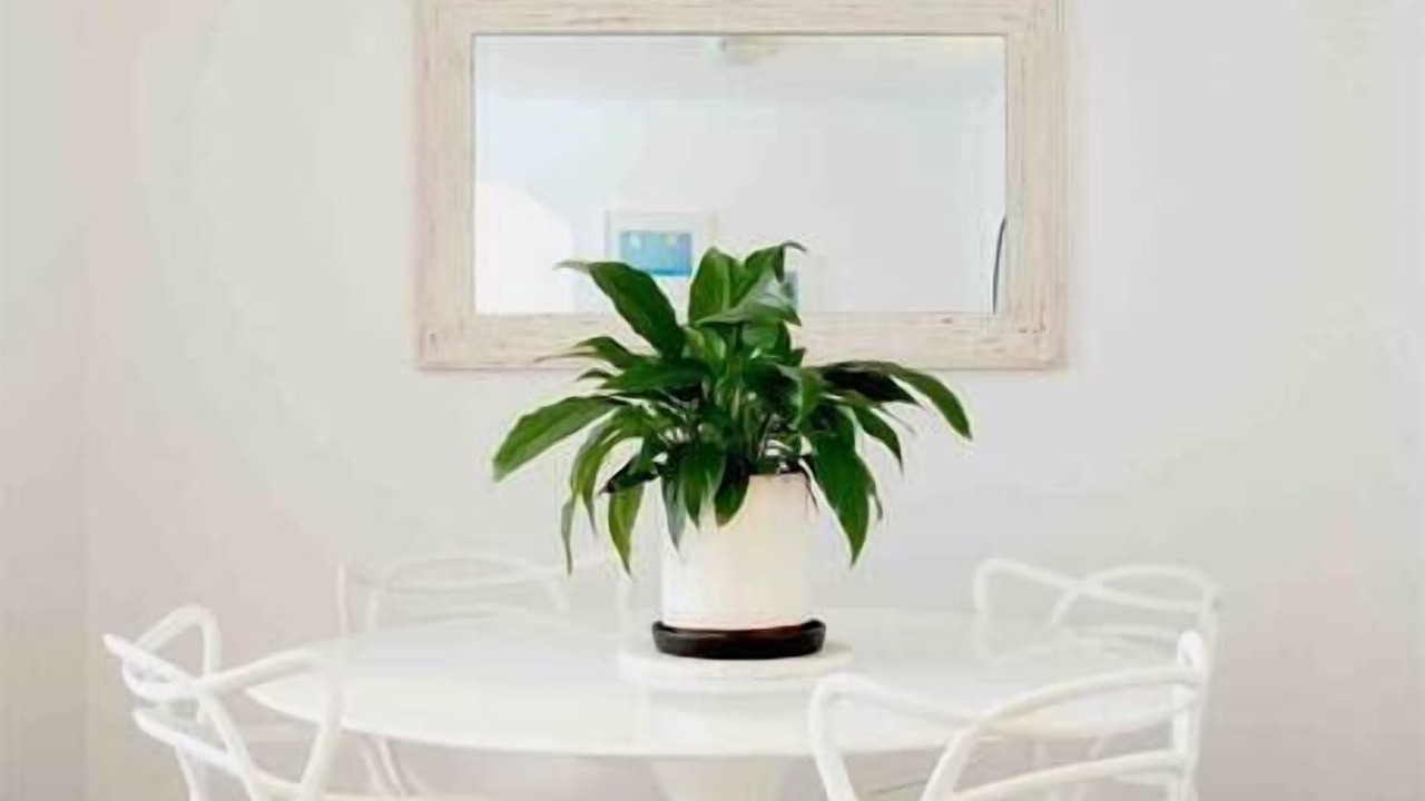 Photo of Others in Elizabeth Bay