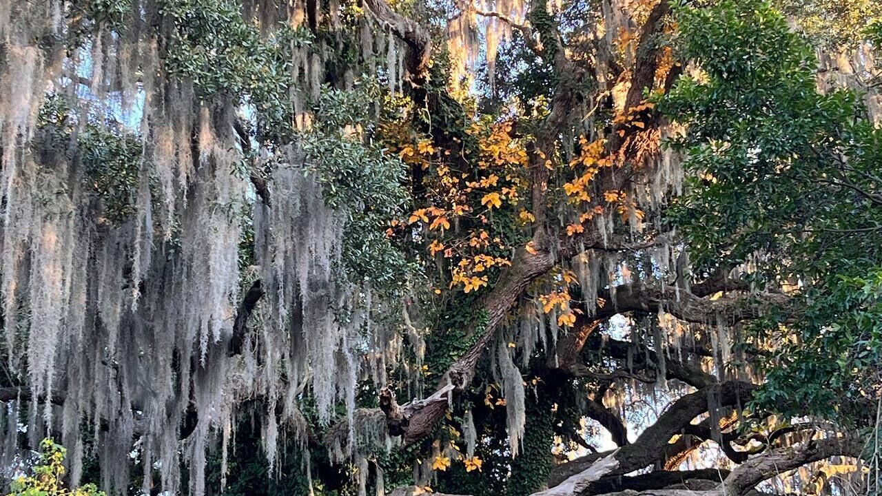 Photo of Outdoor in Thunderbolt