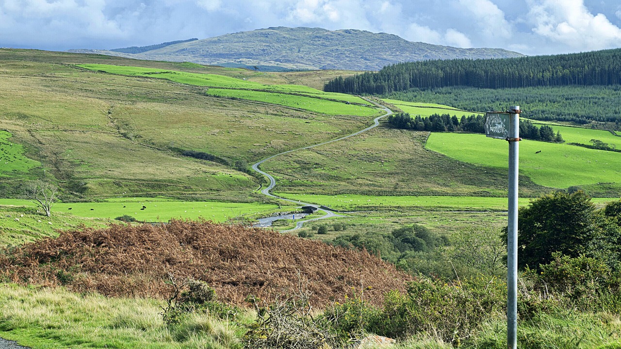 Photo of Others in Bronaber