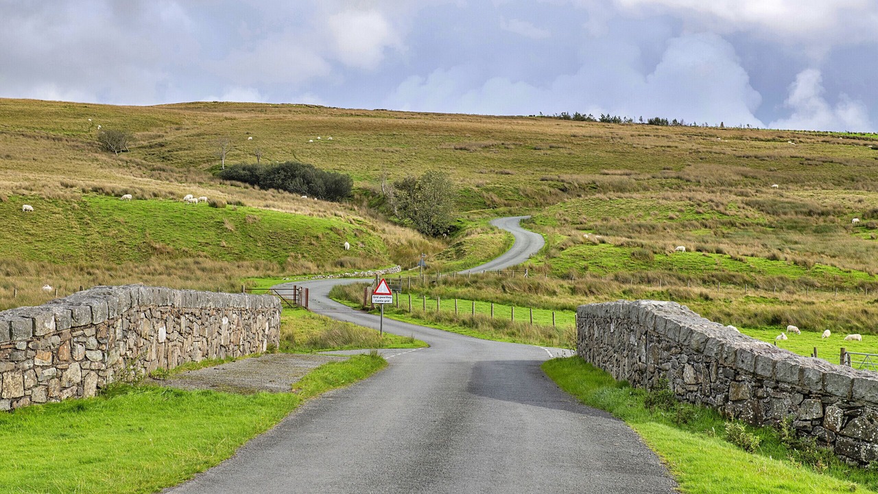 Photo of Others in Bronaber