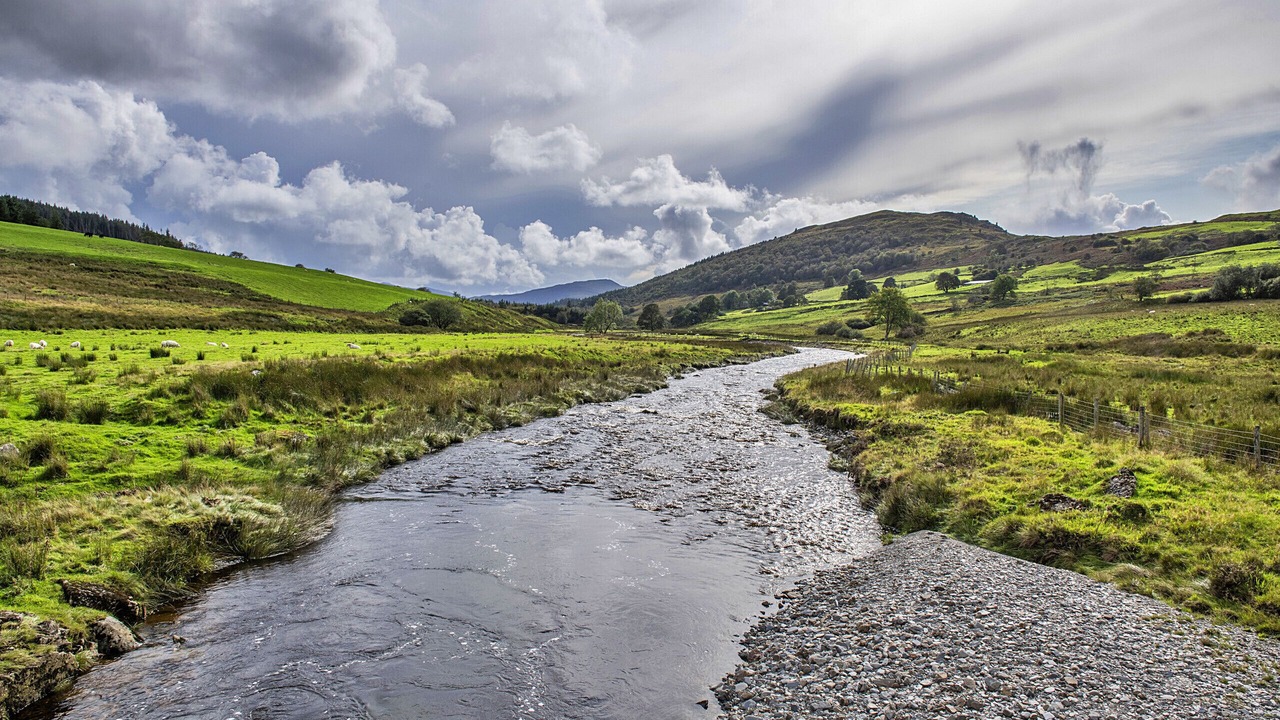 Photo of Others in Bronaber