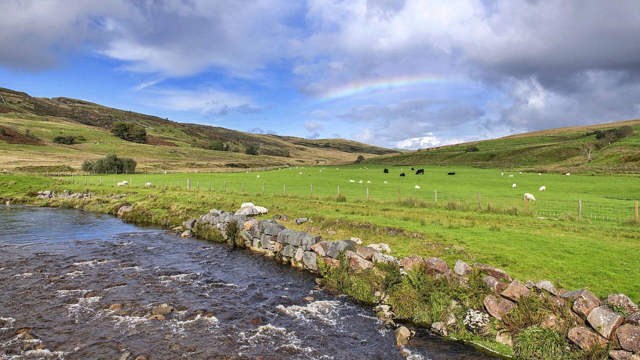 Photo of Others in Bronaber