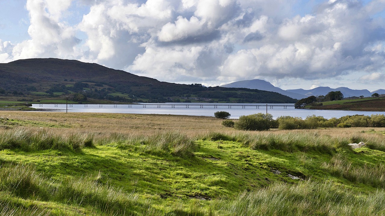 Photo of Others in Bronaber