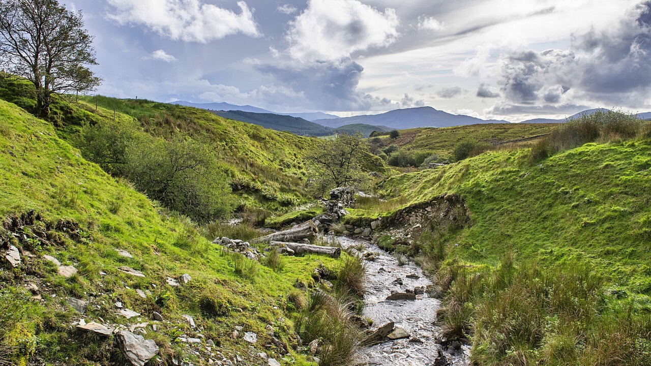 Photo of Others in Bronaber