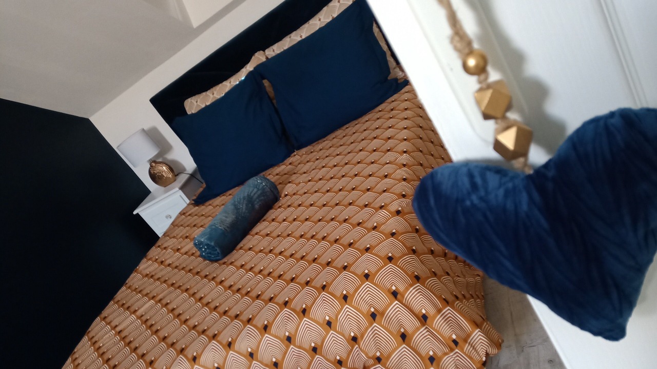 Photo of Bedroom in Chateau-Landon