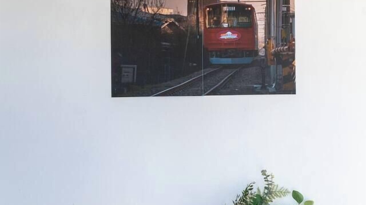 Photo of Others in Mascot