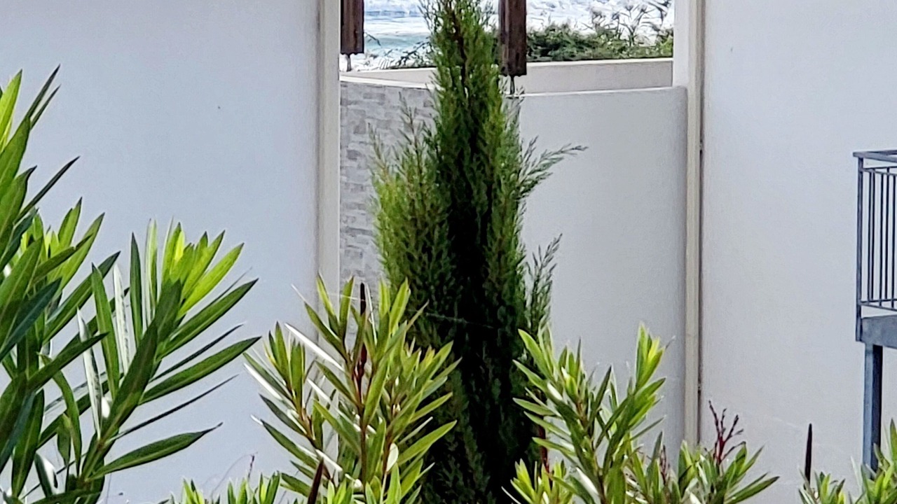 Photo of Outdoor in Bravone