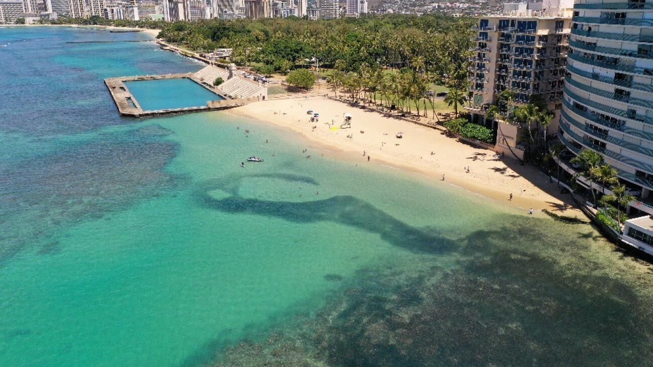 Photo of Others in Maunalani Heights