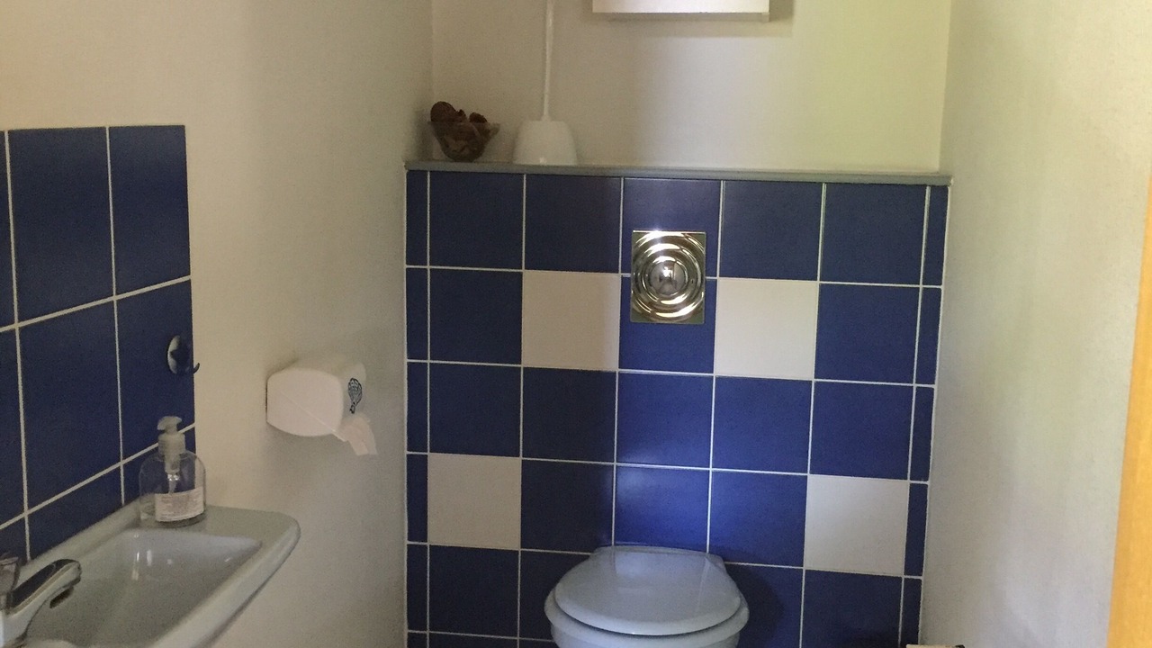 Photo of Bathroom in Muntzenheim