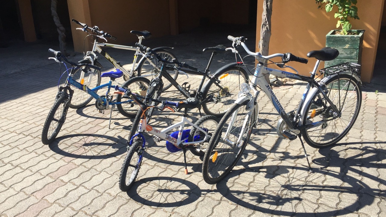 Photo of Outdoor in Muntzenheim