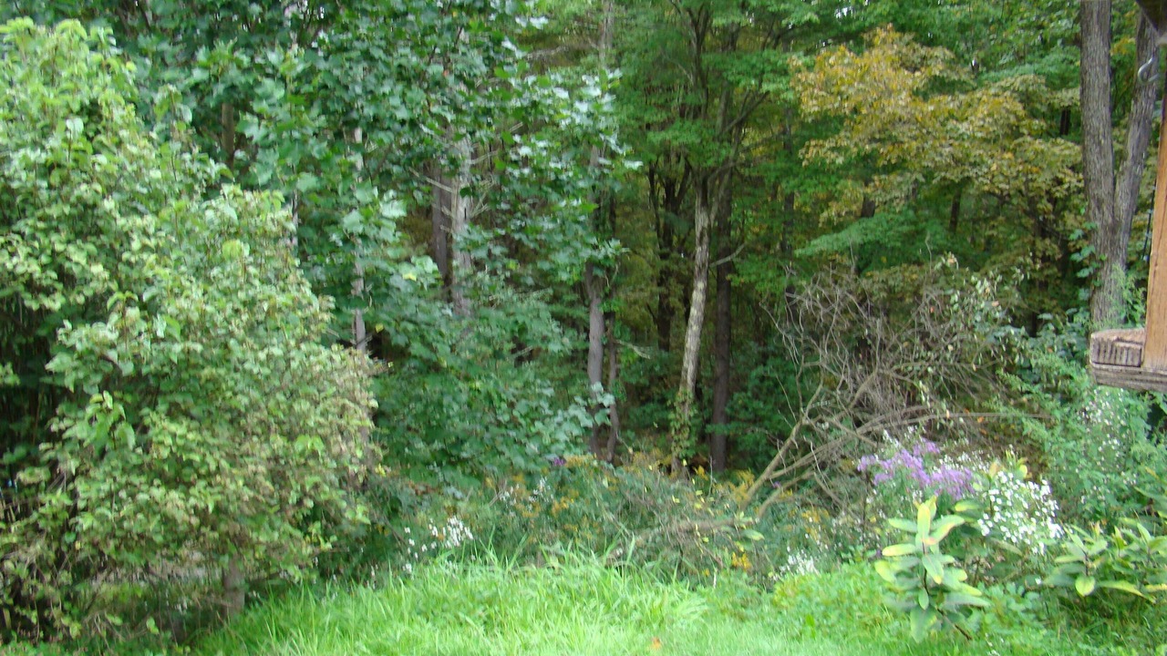 Photo of Outdoor in Brainard