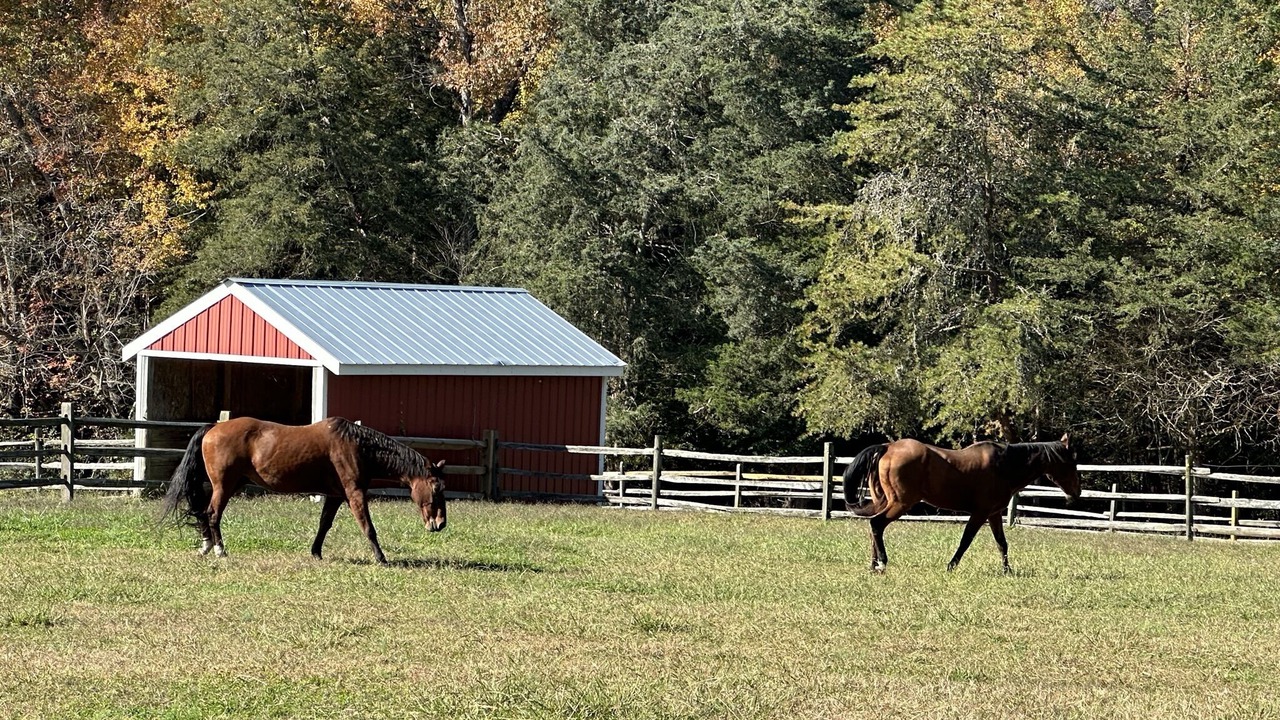 Photo of Outdoor in Powhatan