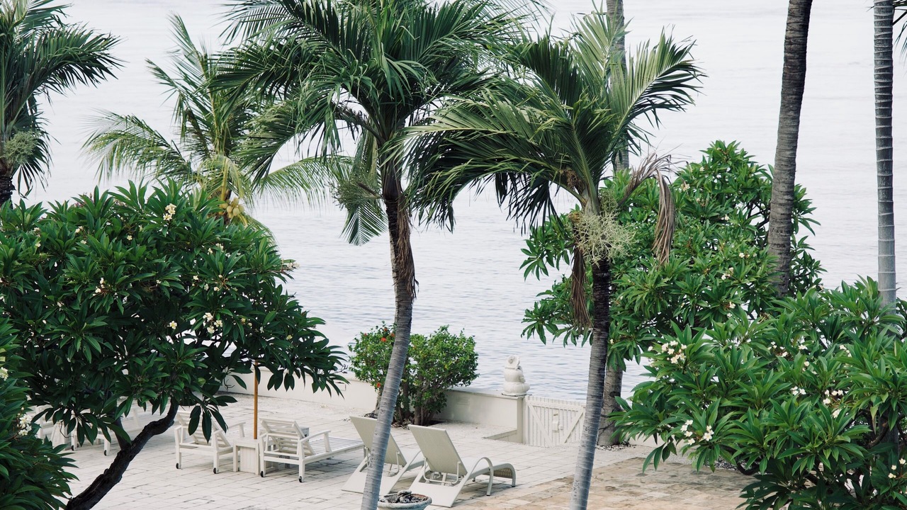 Photo of Outdoor in Amed