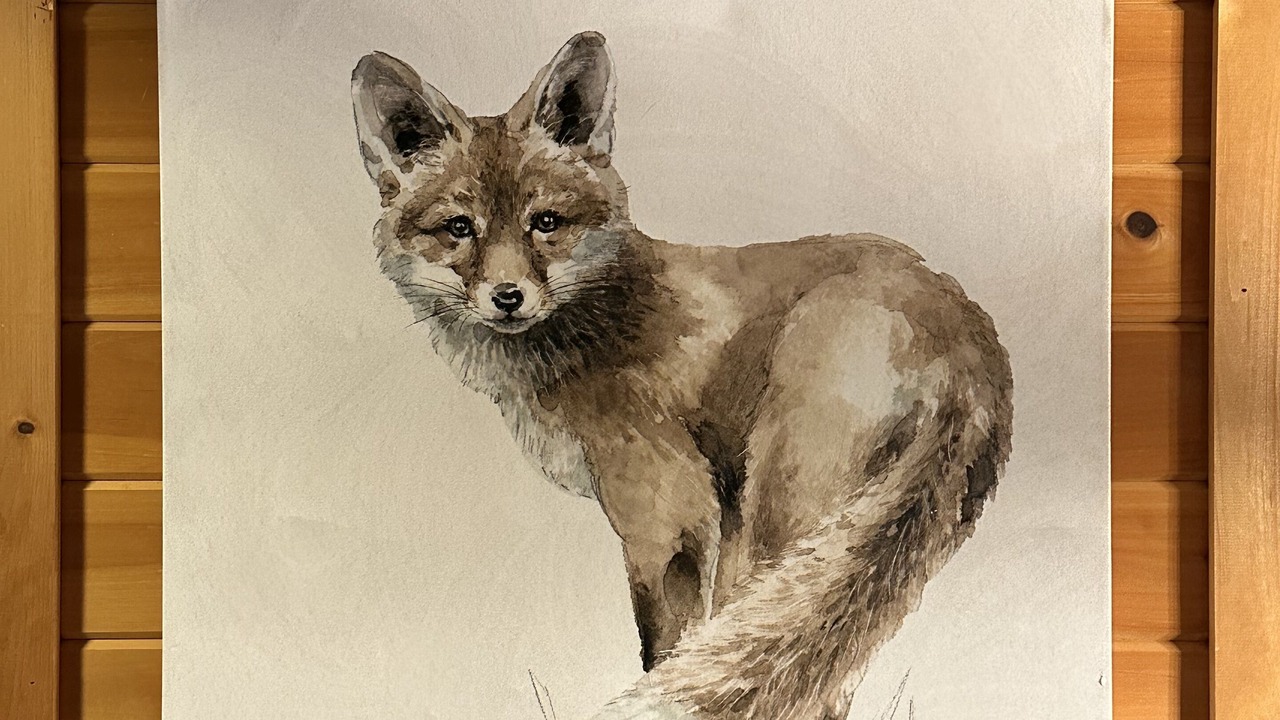 Photo of Others in Thornton