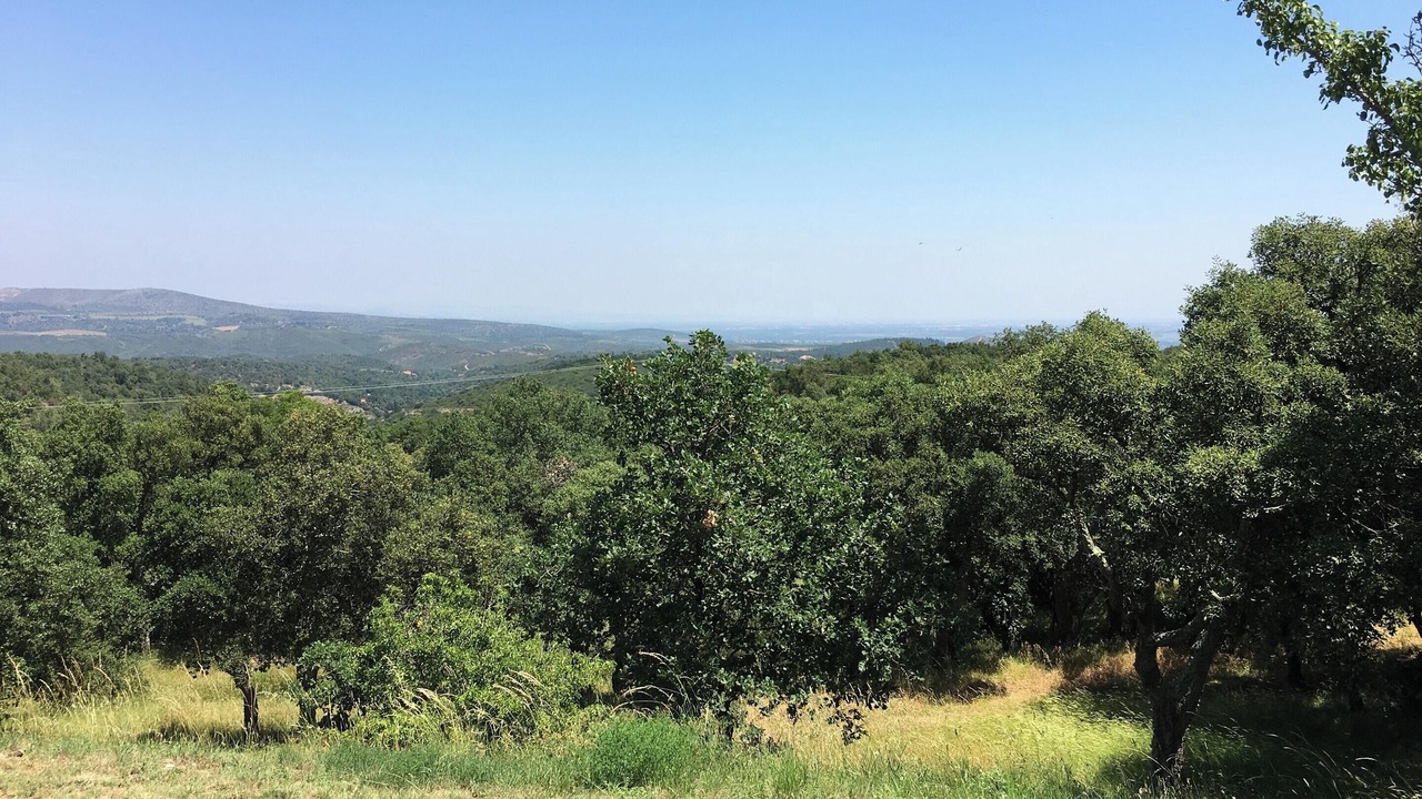 Photo of Outdoor in Montauriol
