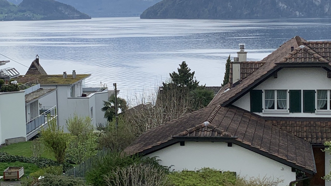 Photo of Outdoor in Weggis