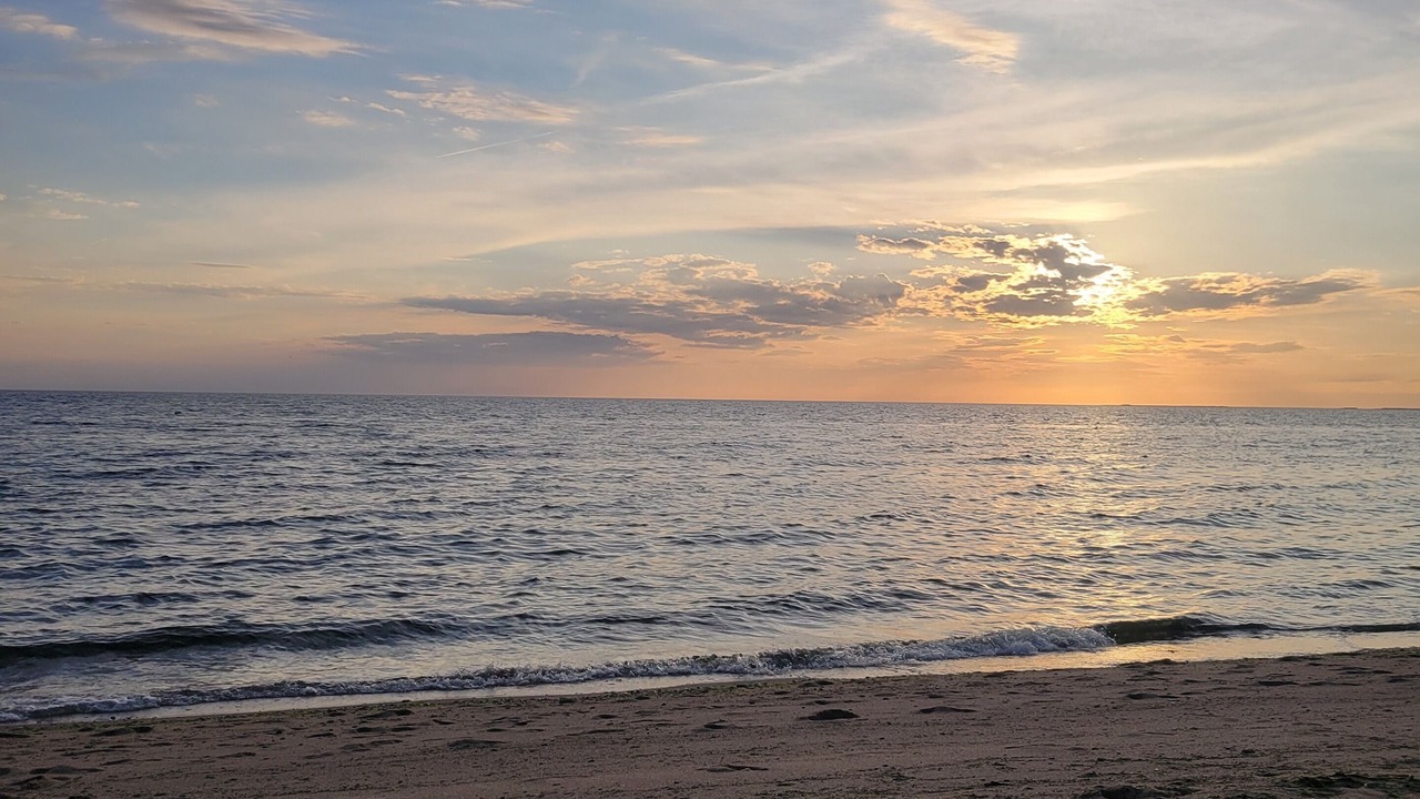 Photo of Others in North Eastham
