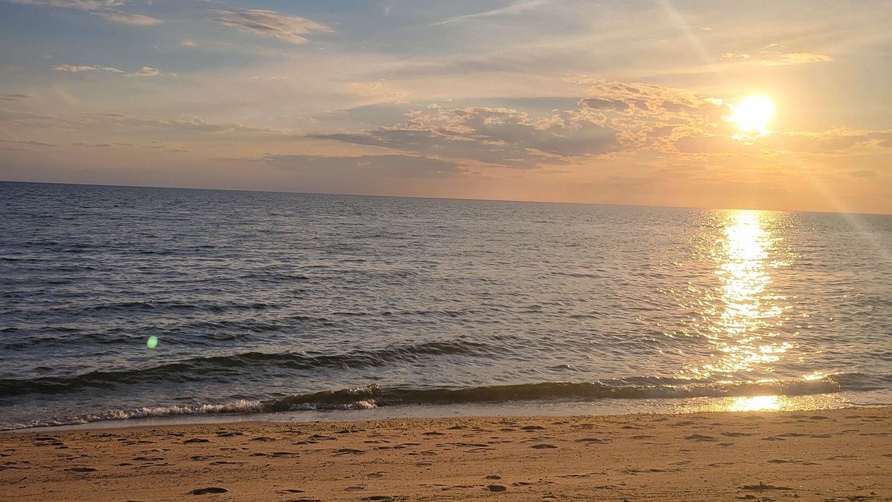 Photo of Others in North Eastham