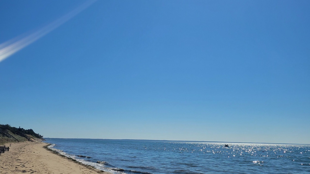 Photo of Others in North Eastham