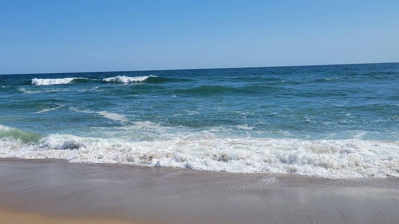 Photo of Others in North Eastham