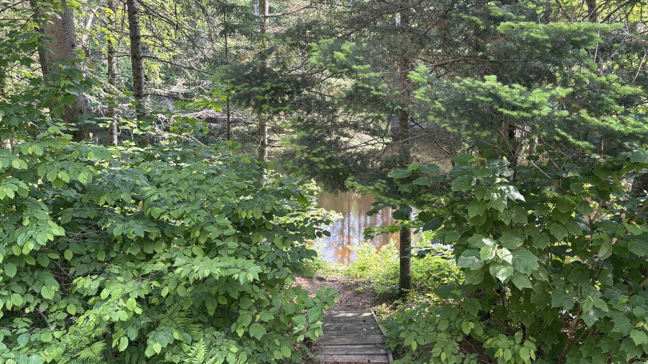 Photo of Outdoor in Saint-Alexis-des-Monts