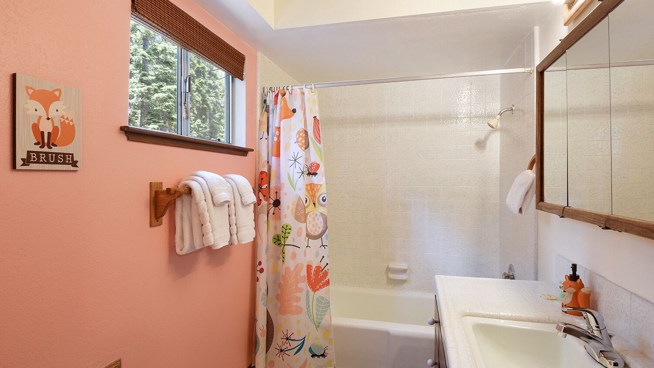 Photo of Bathroom in Tahoe Vista