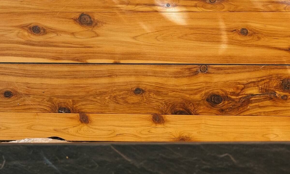 Photo of Others in Ulster Park