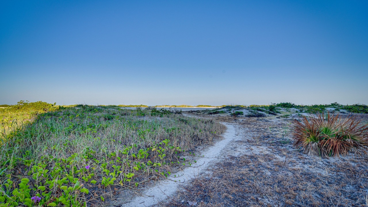 Photo of Others in Sand Key