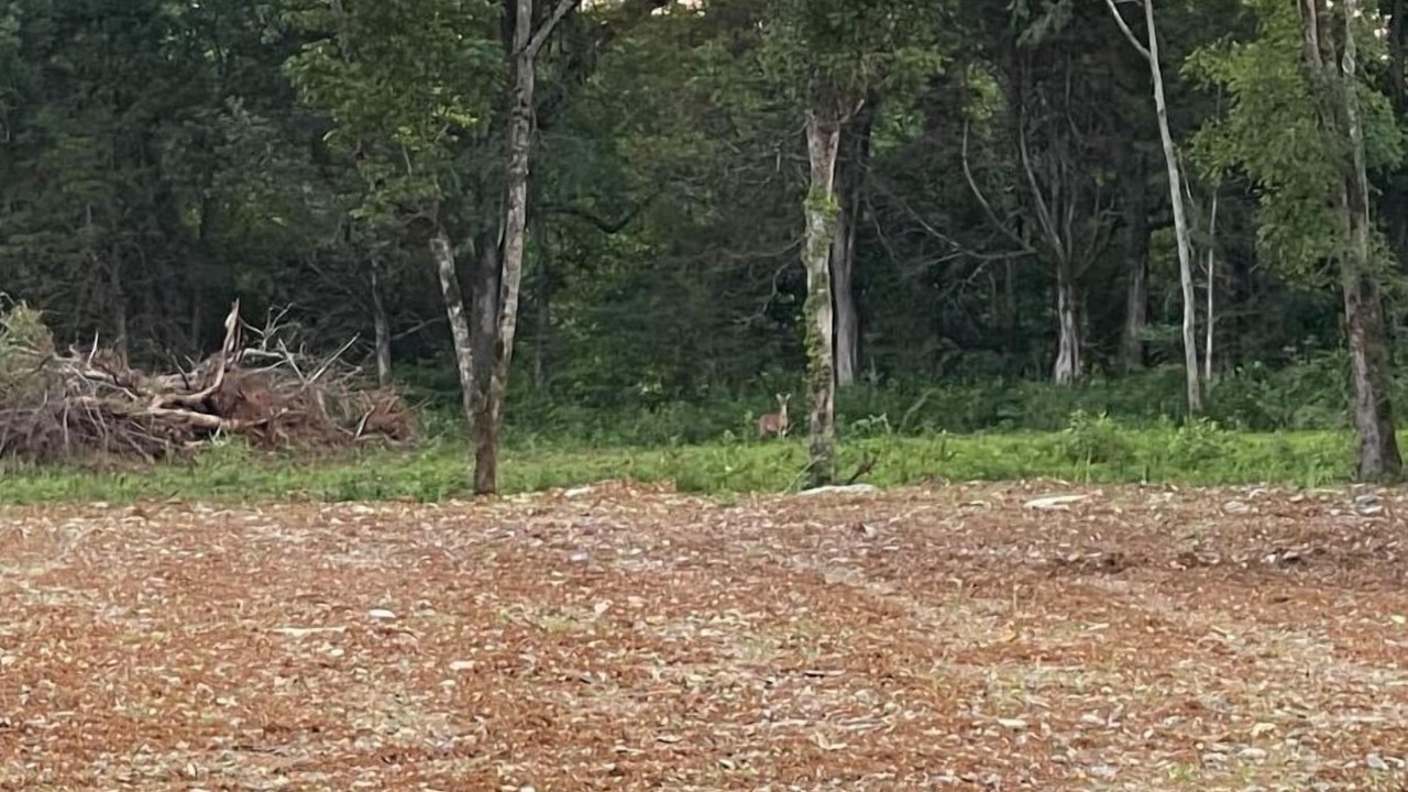 Photo of Others in Murfreesboro